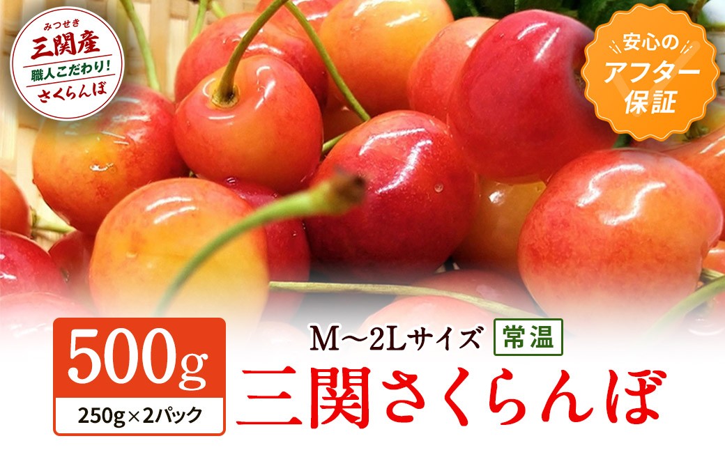 
                  三関産 さくらんぼ 訳あり 500g（250g×2）佐藤錦 紅秀峰 サイズ混合  【藤利果樹園】[B14605]
                
