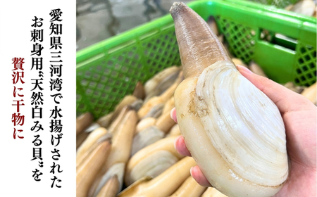 天然 白ミル貝 干物 100g×3袋 セット 冷凍 天日干し みる貝