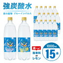 【ふるさと納税】チェリオ　強炭酸水 ブルーインパルス 青の衝撃1000ml×15本