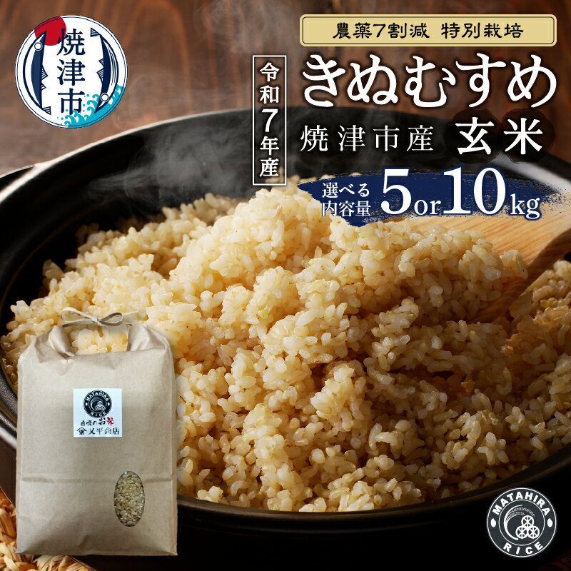 【ふるさと納税】 【選べる内容量】 米 玄米 新米 令和7年産 きぬむすめ 5kg 10kg (5kg×2) 農薬7割減 特別栽培 ごはん 焼津 a20-457