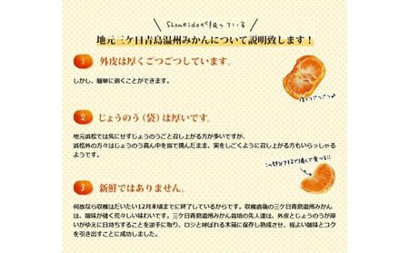 三ケ日みかん 青島 【特選 ミカエース】 Lサイズ4kg(30個前後) ミカン 果物 くだもの フルーツ 甘い 果物類 柑橘類 静岡 浜松市【配送不可：北海道・沖縄・離島】