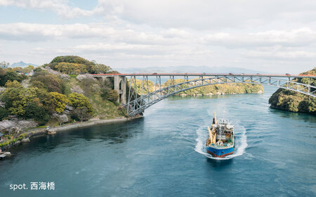【返礼品なし】 長崎県 西海市 ふるさと応援寄附金（5万円分）【長崎県西海市】[CZZ035]