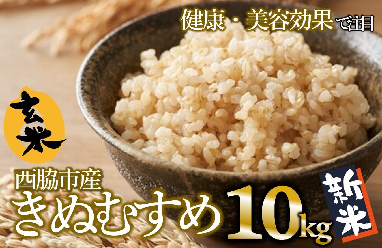 
【きぬむすめ】令和６年産 新米 玄米10kg（10kg×1袋）(17-51) 健康志向の方におすすめ 米 お米 こめ コメ きぬむすめ 人気 玄米 健康
