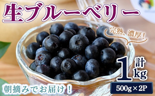 
                  完熟、濃厚生ブルーベリー1kg ブルーベリー 果物 フルーツ 青果物 クール便 スムージー ヨーグルト おやつ 【奥久慈 まほろばの郷 ふれあい農園】【ho1527】
                