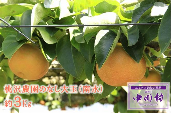 
農家直送】桃沢農園のなし（南水）約３Kg
