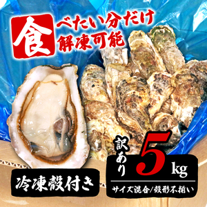 訳あり 数量限定 生産調整品 牡蠣 5kg (生食可) かき カキ 冷凍 岩手県産 殻付き 生食 生食用 訳あり わけあり 大きさ不揃い 不揃い 三陸 三陸産 株式会社國洋 岩手県 大船渡市