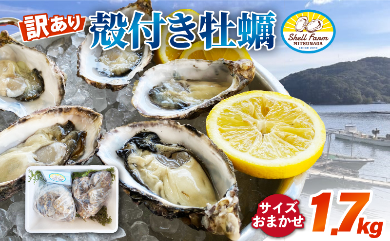 （冷蔵） 訳あり牡蠣 1.7kg ワケアリコース 加熱用 濃厚 新鮮 シェルファームみつなが セル牡蠣 真牡蠣 まがき カキ 鍋 牡蠣鍋 カキフライ 殻付き BBQ わけあり 訳アリ 養殖 伊勢志摩 
