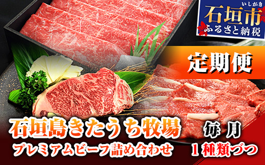 
【定期便 6回】石垣島きたうち牧場プレミアムビーフ 詰め合わせ 牛肉 肉 定期 肉定期便 6ヶ月 6ヵ月 しゃぶしゃぶ ステーキ 切り落し 切り落とし 焼き肉 すき焼き サーロイン モモ 赤身 AM-17
