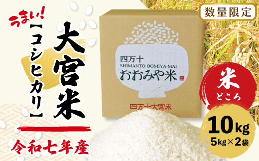 【令和7年産 数量限定】 四万十 の 米どころ 山間地域で育てた 大宮米 コシヒカリ 10kg 高知県 高知 しまんと お米 米 白米 精米 こしひかり 低農薬栽培 ご飯 産地直送 26