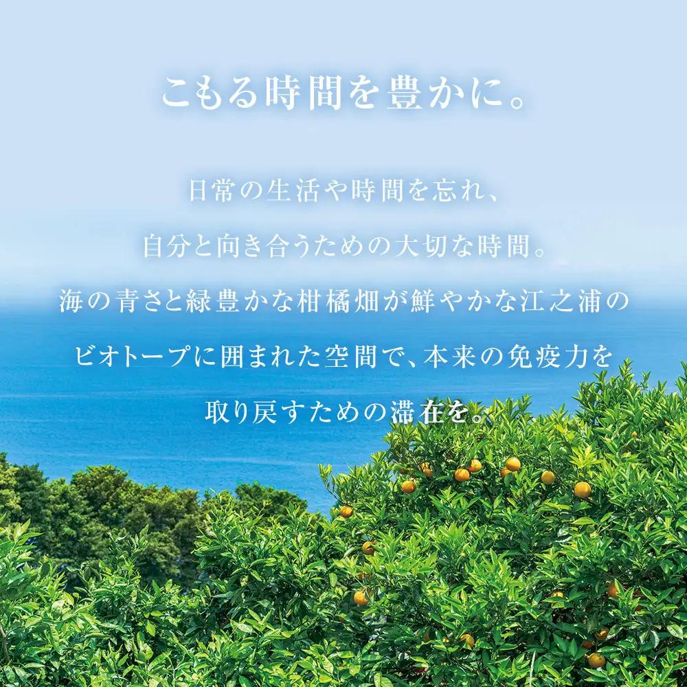 江之浦リトリート凛門　商品券（15万円分）【江之浦 お食事 ご宿泊 15万円分商品券 プレゼント 旅行 お祝い 凛門 絵のように美しい海岸 複数枚同時利用可 ルフロ湯治 美しい江之浦 リトリートホテル