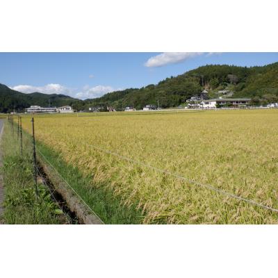 ふるさと納税 陸前高田市 令和7年産 ひとめぼれ 5kg 玄米 米 お米 精米 おにぎり お弁当 ふっくら もっちり |  | 02
