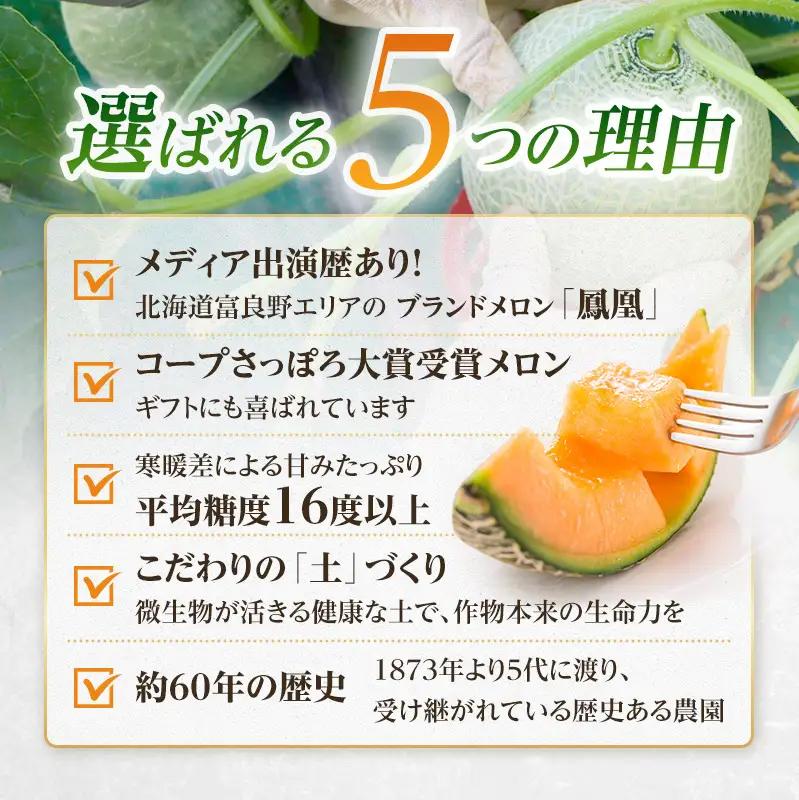 富良野メロン 赤肉 山部 鳳凰 大玉 メロン【2L 3玉 計約5.4kg以上】