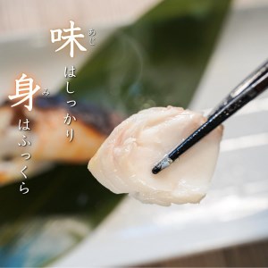 銀鱈粕漬け（約80g×10切れ） (a12-115)