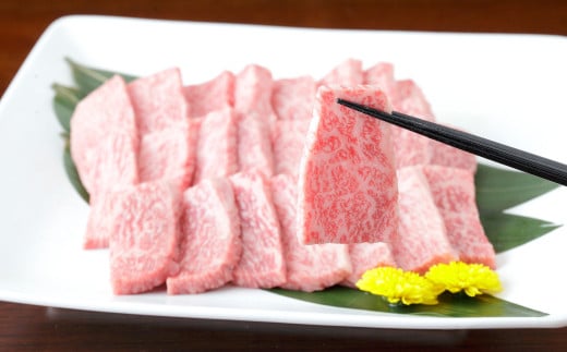 くまもと黒毛和牛 焼き肉用 ロース 600g （300g×2パック） 国産 熊本 和牛 牛肉 牛 肉 焼き肉 焼肉 お肉 冷凍