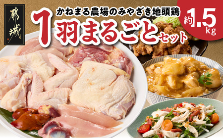 かねまる農場のみやざき地頭鶏1羽まるごとセット_MJ-J705_(都城市) 真空パック 地頭鶏 じとっこ 1羽まるごと 平飼い飼育 みやざき地頭鶏 地鶏 1羽 モモ肉 ムネ肉 ササミ 手羽先 手羽元 砂肝 レバー ガラ