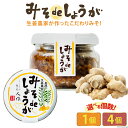 【ふるさと納税】みそdeしょうが 100g 選べる個数[ 1個 4個 生姜 しょうが ショウガ 味噌 みそ お供 薬味 保存料 添加物 不使用 国産 松本農園 人作 長崎県 島原市 422037015]