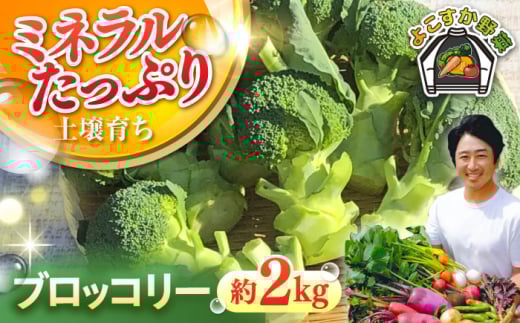 【先行予約】【数量限定】ブロッコリー　約2kg（11月〜2月）【鈴也ファーム】 [AKCE018]