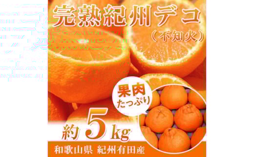 完熟紀州デコ(不知火) 約5kg　果肉プリプリ♪［2026年2月下旬以降発送］［先行予約］［UT43］