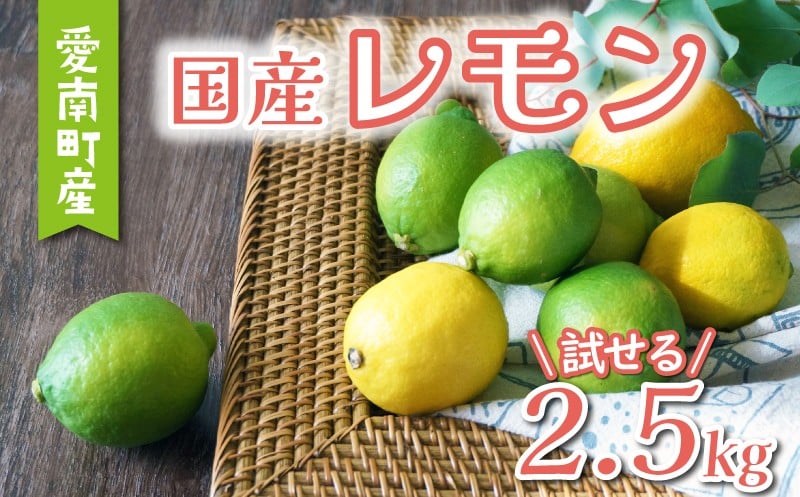 
                  数量限定 先行予約 選べる レモン 2.5kg 訳あり 6000円 通常品 7000円 檸檬 国産 愛媛 れもん 期間限定 少量 お試し 特産品 フルーツ 果物 柑橘 人気 おいしい 産地直送 農家直送 ワックス 防腐剤 不使用 果実 特産品 瀬戸内  わけあり 人気 新鮮 少量 お試し あいなんマザーズ 愛南町 愛媛県
                
