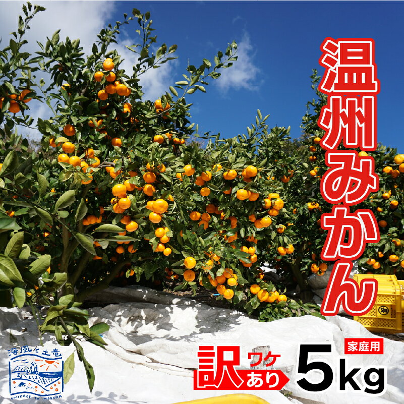 【ふるさと納税】 【2026年12月上旬頃から順次発送】訳あり 温州みかん 家庭用 約 5 kg ｜産地直送 国産 柑橘 期間限定 数量限定 ご当地 愛媛県 松山市