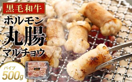 牛肉 黒毛和牛 ホルモン 丸腸(マルチョウ) 500g