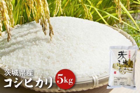 【令和6年産】茨城県産コシヒカリ 5kg 【お米 ごはん こしひかり 老舗 米屋 おにぎり ごはん 茨城県 水戸市 5キロ】(HQ-51)