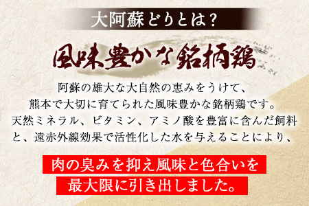 熊本県産 大阿蘇どり 鶏もも 鶏むね 計8kg《60日以内に出荷予定(土日祝除く)》熊本県 葦北郡 津奈木町 鶏肉 鶏モモ 鶏ムネ