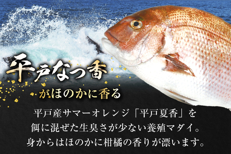 タイ 刺身 平戸なつ香 鯛 丸々 1匹 約2kg 6回 定期便 総計 約12kg [（株）坂野水産 長崎県 平戸市 hr42bgy420441]