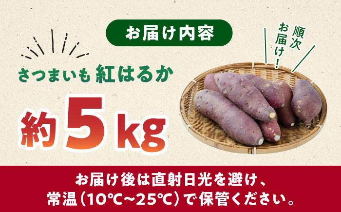 【先行予約】いちょうの畑　さつまいも 紅はるか 約5㎏ 【農事組合法人いちょう】 [YDN010]