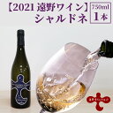 【ふるさと納税】ワイン シャルドネ 2021 遠野ワイン 白 辛口 750ml 1本 ソーシャルファーム＆ワイナリー 遠野まごころネット 岩手県 遠野市 送料無料 ギフト 記念日 国産ワイン 贈り物 お酒 お祝い 遠野産 ブドウ ぶどう 葡萄 白ワイン