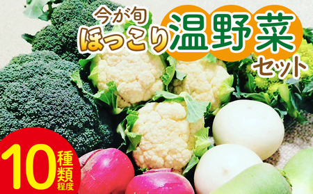 野菜セット まさに旬 ほっこり温野菜セット -お野菜詰め合わせ 朝採れ 朝採り 新鮮 簡単調理 ブロッコリー 人参 にんじん ニンジン カリフラワー 大根 だいこん カブ 鍋 無農薬 産地直送 特産品 旬彩ファームやまさき 高知県 香南市 sy-0006