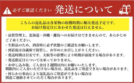 福岡フルーツ定期便A (あまおう・とよみつひめ・甘うぃ・秋王)【全4回】
