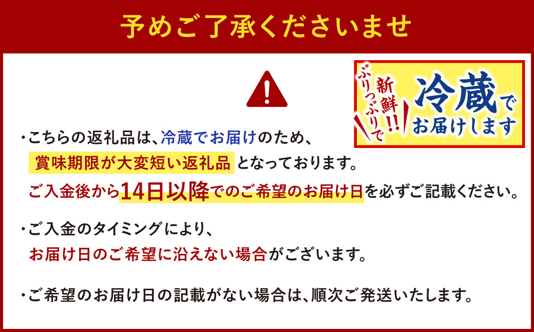 豪華 とらふぐ三昧セット (刺身・鍋2～3人前)