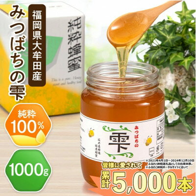 【ふるさと納税】坂井養蜂場　みつばちの雫　1000g【1111654】