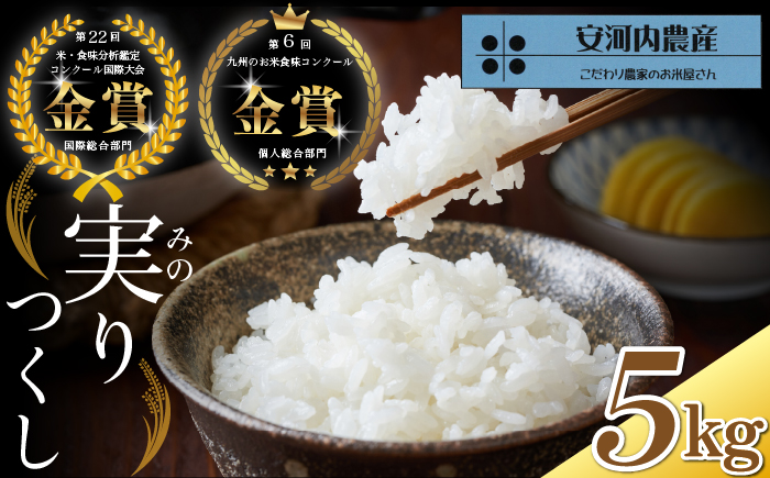 令和7年産　【先行予約】実りつくし 5kg　【10月下旬より順次発送】 福岡県宮若産〈安河内農産〉　[M788]　米・食味コンクール国際大会金賞米 精米 ブランド米 コメ ご飯 白米