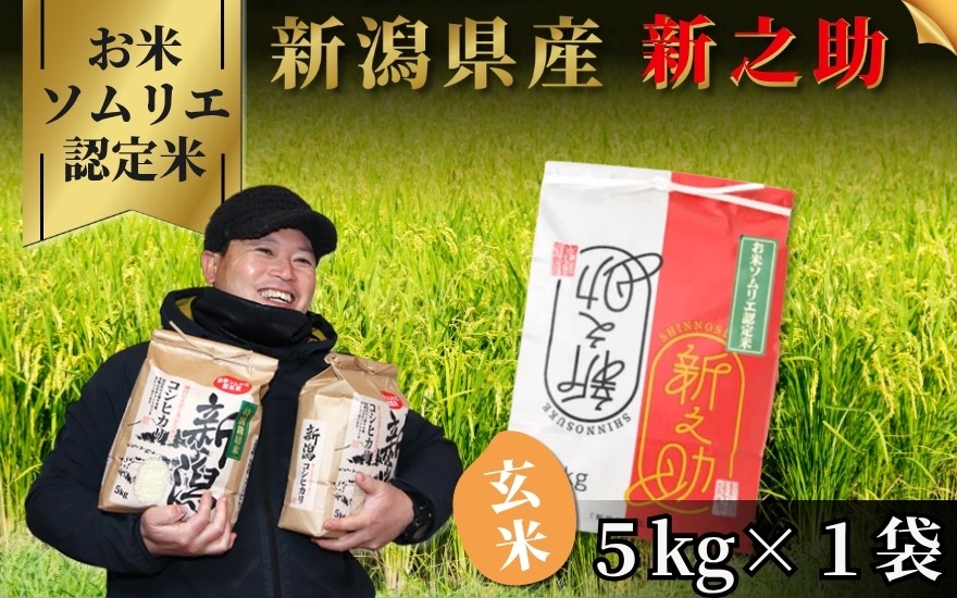 
                  【先行予約】令和8年産【お米ソムリエのお米】新之助 玄米 5kg（5kg×1袋）新潟県 五泉市 エバーグリーン農場
                