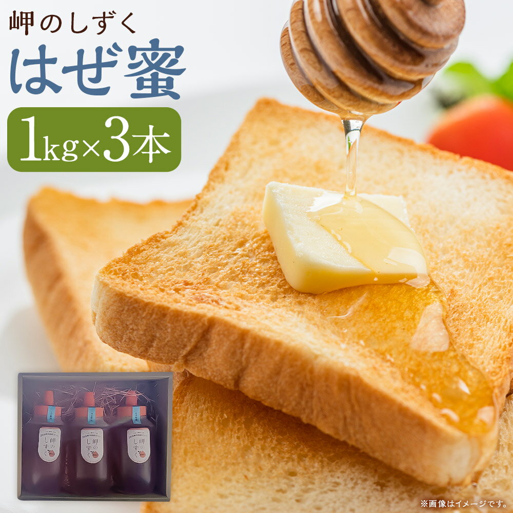 【ふるさと納税】「岬のしずく」佐田岬半島産 純粋蜂蜜 はぜ蜜 1kg 3本セット 合計約3kg はちみつ ハチミツ 蜜 国産 常温 詰合せ 詰め合わせ セット 愛媛県 送料無料 (322) 【えひめの町（超）推し！（伊方町）】