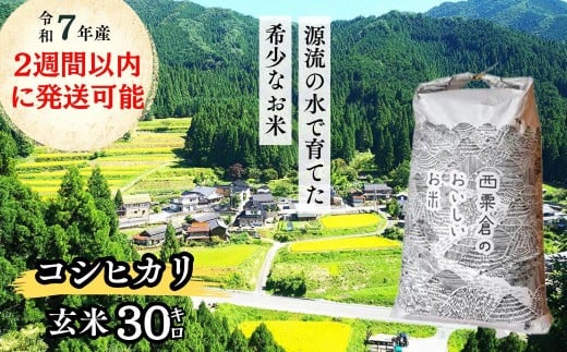 《令和7年産2週間以内に発送》玄米 30kg 令和7年産 コシヒカリ岡山 「おおがや米」生産組合 G-ad-AEFA