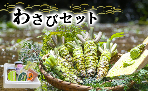 とれたて わさび セット 滝 生産者直送 生わさび 2本 手作り わさび漬け 天城の春 三杯酢漬け わさびみそ むらさき漬 醤油漬け 伊豆 ワサビ 茎 加工品 加工食品 薬味 詰め合わせ 静岡