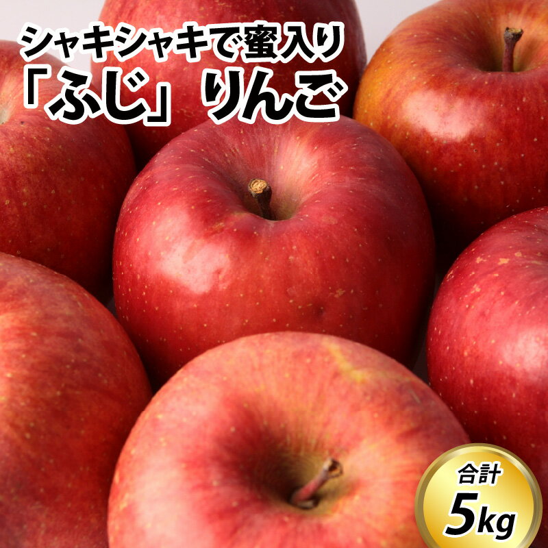 【ふるさと納税】【先行予約】りんご 5kg【2025年11月中旬以降順次発送】 / ふじ 5kg 蜜入り 無袋 期間限定 常温発送 リンゴ 林檎 フルーツ 果物 富山県 滑川市