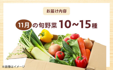 高槻野菜おまかせ詰め合わせセット 11月（10種〜15種）[AOCS017] 野菜セット