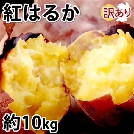 訳あり紅はるか 約10kg(益城町)【1586572】