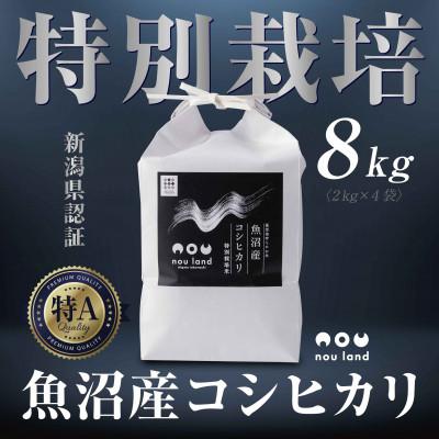ふるさと納税 十日町市 【令和7年産 新米予約】 魚沼産 コシヒカリ 特別栽培米 8kg 新潟県 十日町市 のうランド