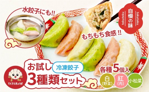 冷凍餃子 お試し3種（各5個入り） | 餃子 ぎょうざ ギョウザ 冷凍餃子 冷凍ぎょうざ 冷凍ギョウザ 皮もち モッチリ食感 もっちり 冷凍配送 地元人気 餃子本来の美味しさをご自宅 餃子 スープ餃子 ラーメン 鍋 水餃子 惣菜 冷凍食品 便利 時短 簡単 おすすめ 人気 紅 白 緑 にんにく 小松菜 てくてくぎょうざ 埼玉県 草加市