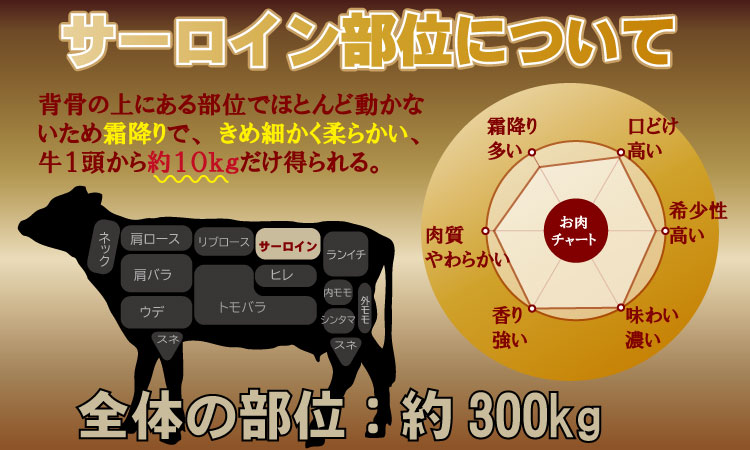 こだわりの 佐賀牛 サーロイン ステーキ 用６枚　（合計1,000g） 桑原畜産