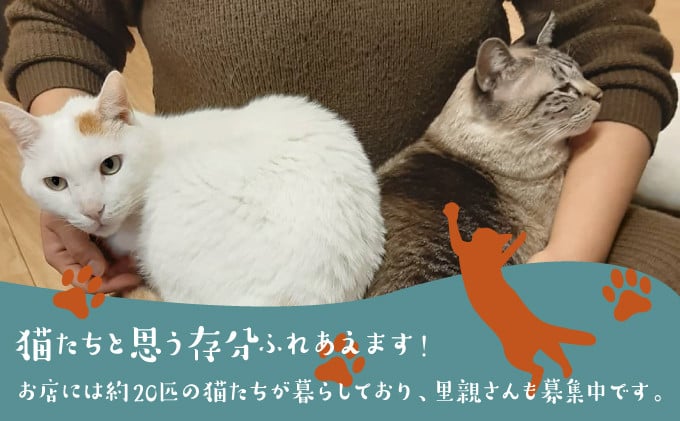 沖縄 宜野湾市 保護猫カフェふれあい体験120分ペアチケット | 保護猫とつながるカフェ＆ショップ Nouvelle Vague