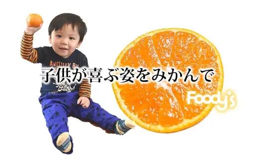 ＜ R8年熊本地震復興支援 ＞みかん 秀品 約10kg ミカン 果物 くだもの フルーツ 果実 極早生みかん 柑橘類 柑橘系 柑橘 国産 熊本県産 露地栽培 【 2026年10月上旬から2027年2月