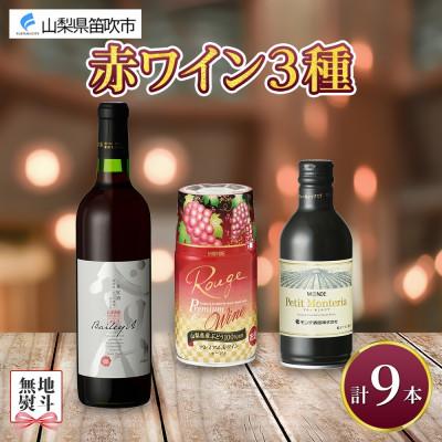 ふるさと納税 笛吹市 【熨斗】 赤ワイン 3種 9本 飲み比べ 瓶1本・缶2種8本セット モンデ酒造 山梨県 笛吹市