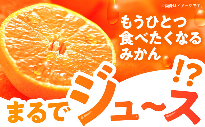 ※【2026年11月より順次発送／先行予約】伊木力温州早生みかん5kg(ご家庭用、箱入り) / 伊木力 温州みかん みかん ミカン 蜜柑 佐瀬 諫早 多良見 長崎 早生　/ 末永果樹園 [AHBD00