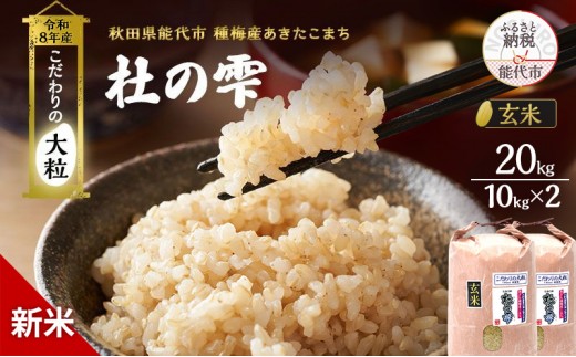 
                  新米 先行予約 令和8年産[玄米]秋田県産 あきたこまち 20kg(10kg×2)「杜の雫」こだわりの大粒 種梅産【 お米 たねうめ 玄米 精米 ご飯 ブランド米 大粒 おにぎり 産地直送 おこめ ごはん 】
                
